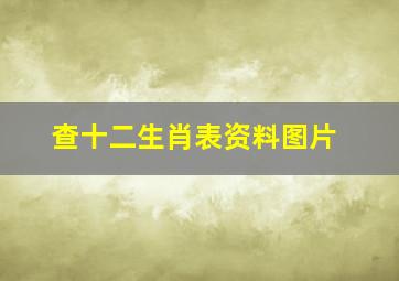 查十二生肖表资料图片