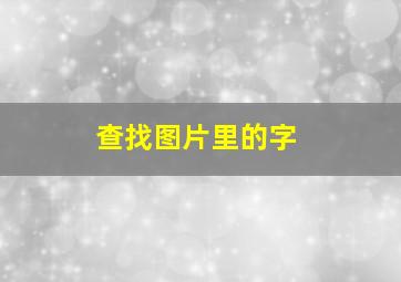 查找图片里的字