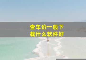 查车价一般下载什么软件好