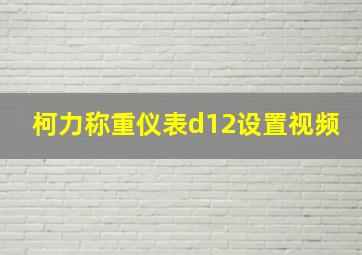 柯力称重仪表d12设置视频