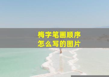 梅字笔画顺序怎么写的图片