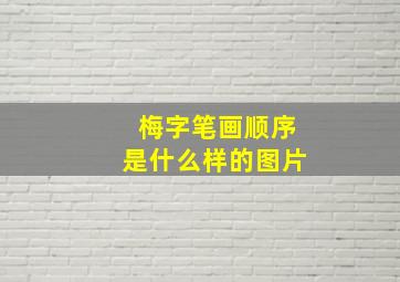 梅字笔画顺序是什么样的图片