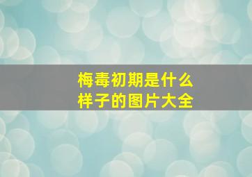 梅毒初期是什么样子的图片大全