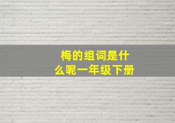 梅的组词是什么呢一年级下册