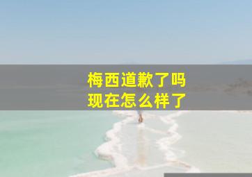 梅西道歉了吗现在怎么样了