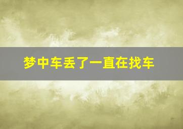 梦中车丢了一直在找车