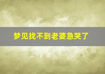 梦见找不到老婆急哭了