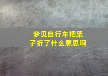 梦见自行车把架子折了什么意思啊