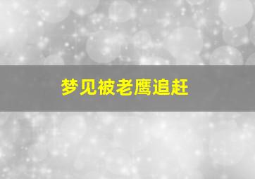 梦见被老鹰追赶