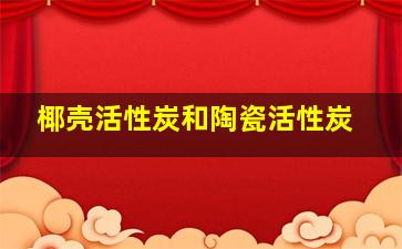 椰壳活性炭和陶瓷活性炭