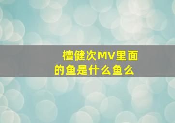 檀健次MV里面的鱼是什么鱼么