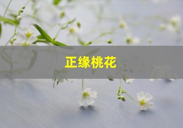 正缘桃花