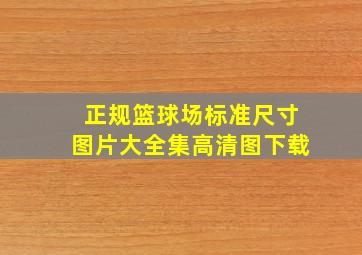 正规篮球场标准尺寸图片大全集高清图下载