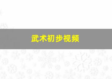 武术初步视频