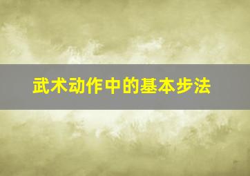 武术动作中的基本步法