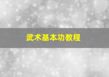 武术基本功教程