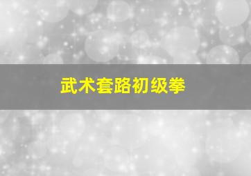 武术套路初级拳