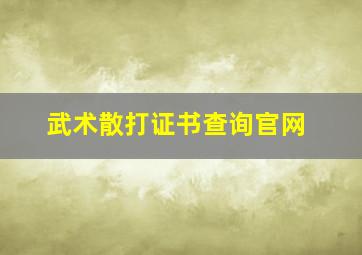 武术散打证书查询官网