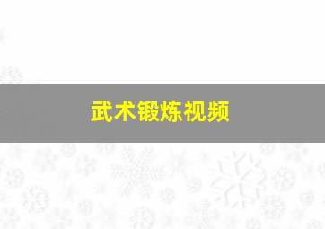 武术锻炼视频