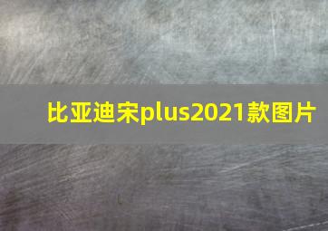 比亚迪宋plus2021款图片