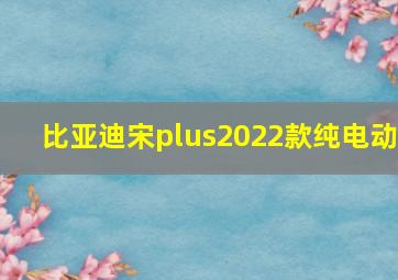 比亚迪宋plus2022款纯电动