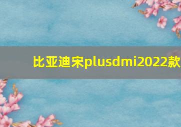 比亚迪宋plusdmi2022款