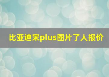 比亚迪宋plus图片了人报价