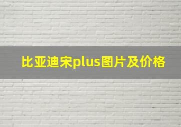 比亚迪宋plus图片及价格