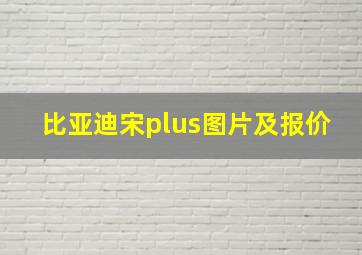 比亚迪宋plus图片及报价