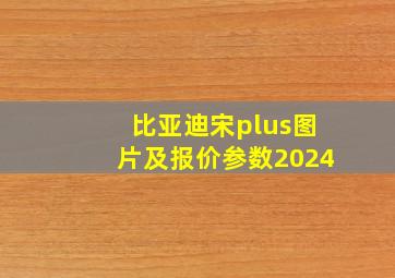 比亚迪宋plus图片及报价参数2024