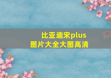 比亚迪宋plus图片大全大图高清