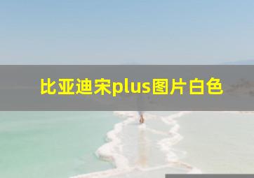 比亚迪宋plus图片白色