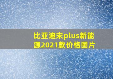 比亚迪宋plus新能源2021款价格图片