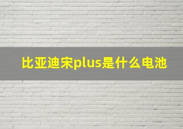 比亚迪宋plus是什么电池