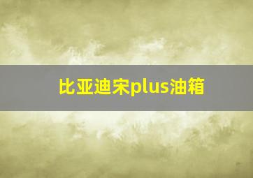 比亚迪宋plus油箱