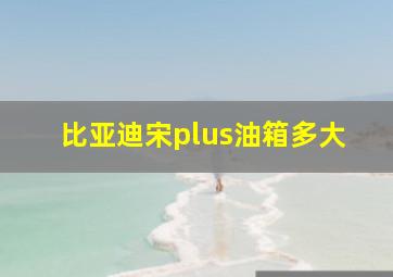 比亚迪宋plus油箱多大