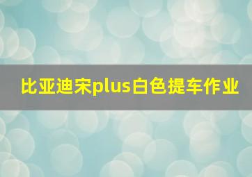 比亚迪宋plus白色提车作业