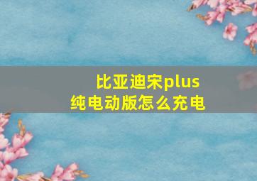 比亚迪宋plus纯电动版怎么充电