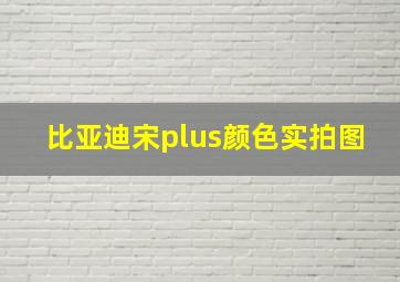 比亚迪宋plus颜色实拍图