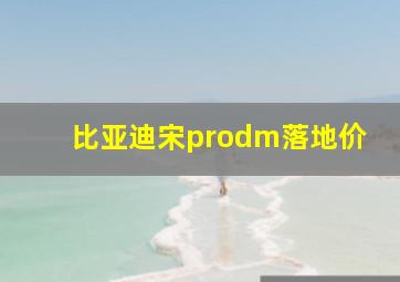 比亚迪宋prodm落地价