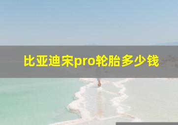 比亚迪宋pro轮胎多少钱