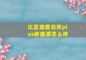 比亚迪混动宋plus新能源怎么样