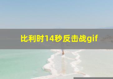 比利时14秒反击战gif