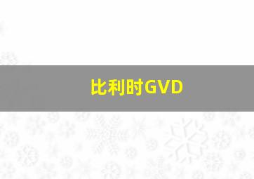 比利时GVD