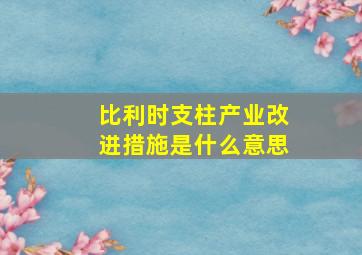 比利时支柱产业改进措施是什么意思