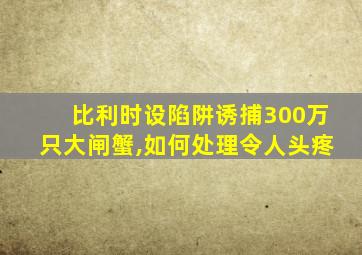 比利时设陷阱诱捕300万只大闸蟹,如何处理令人头疼