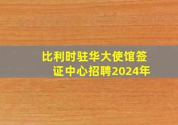 比利时驻华大使馆签证中心招聘2024年