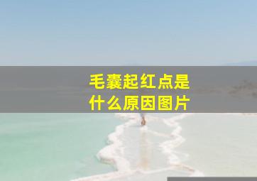 毛囊起红点是什么原因图片