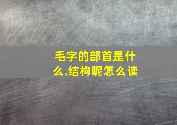 毛字的部首是什么,结构呢怎么读