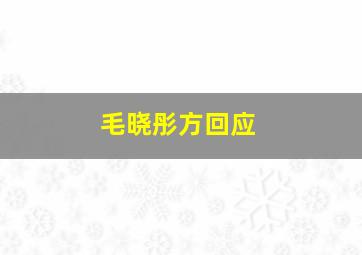 毛晓彤方回应